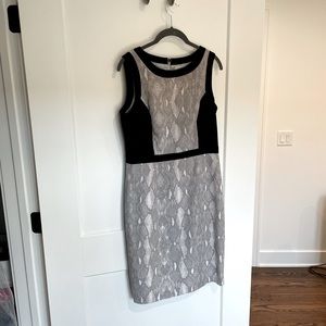 Calvin Klein Sleeveless Colorblock Snakeskin Dress